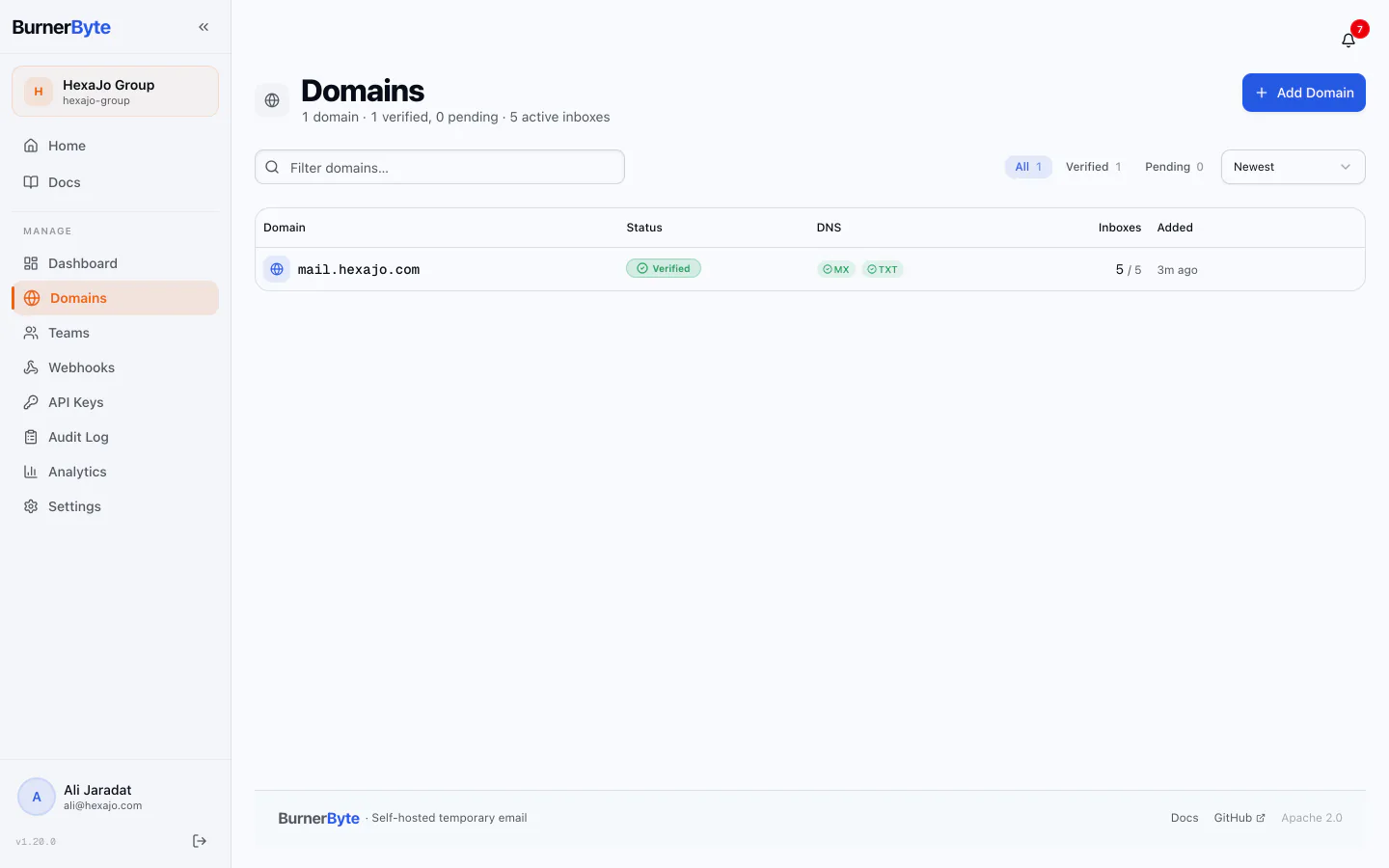 Domains and DNS — MX and TXT verification state, with a recorded history per domain.